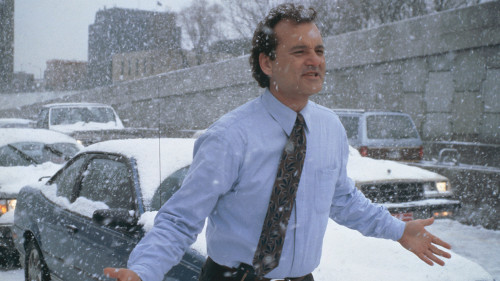 large_TMP_Groundhog-Day