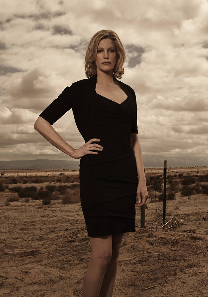 Breaking Bad Skyler White AMC