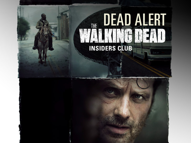 the-walking-dead-season-6-b-rick-lincoln-key-art-800x600-insiders-club