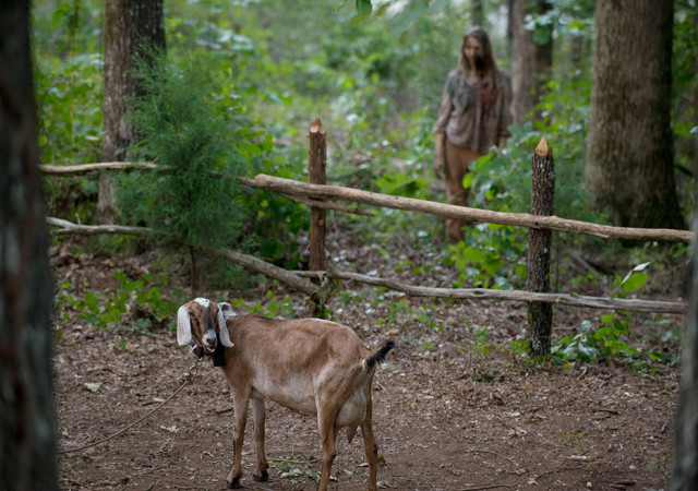 The Walking Dead Season 6 Episode Photos