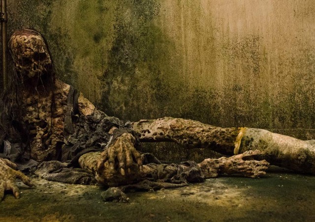 The Walking Dead Season 6 Episode Photos