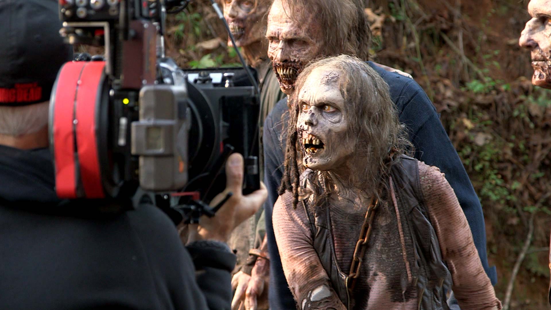 The Walking Dead season 1 - Wikipedia