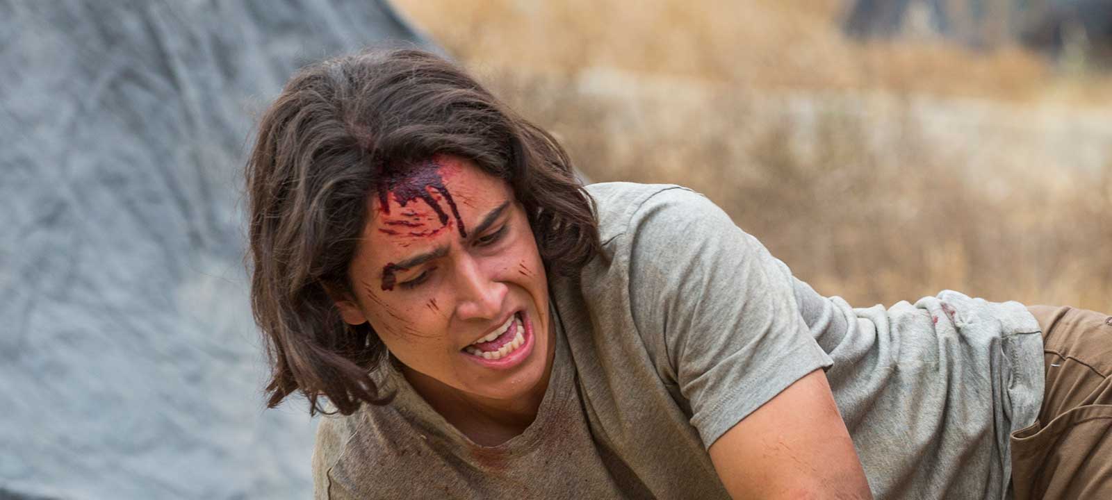 Subscene - Subtitles for The Walking Dead - Third