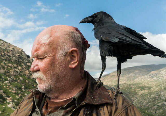 Fear the Walking Dead Season 3 Photos