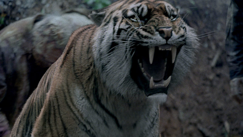 (SPOILERS) Talked About Scene from The Walking Dead: Season 8, Episode 4