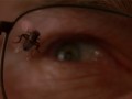 Breaking Bad Talked About Scenes: Walt Faces a New Adversary Has Walter White finally met his match? See him face off against a new adversary in this talked about scene from Breaking Bad episode 310, "Fly"?