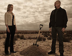 bb-s5b-about-walt-skyler bb-s5b-about-walt-skyler