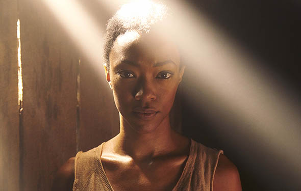 http://images.amcnetworks.com/amctv.com/wp-content/uploads/2013/09/The-Walking-Dead-Season-5-Sasha-Green-590.jpg