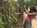 Making of Episode 404 The Walking Dead: Indifference The cast and crew take you behind the scenes of the making of the kudzu scene.