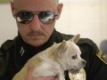Talked About Scene: Episode 303: Small Town Security: Lambchop's Last Bite Dennis prepares to take Lambchop to the vet to be put down.