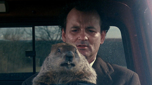 groundhog-day_01
