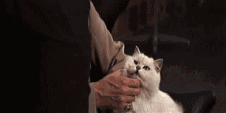 Blofeld-you-only-live-twice-