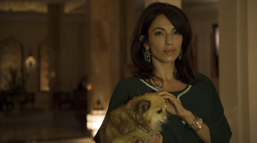 sophie alekan nigt manager