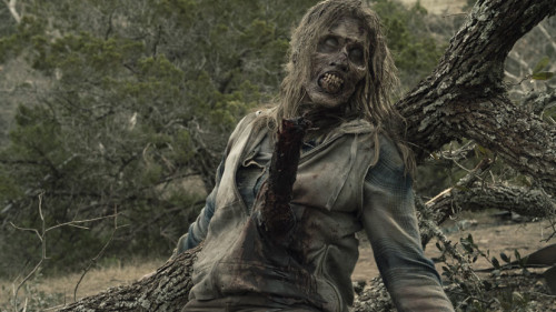 FEATURE_TWD_501_RG_1212_043