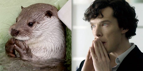 Benedict Cumberbatch