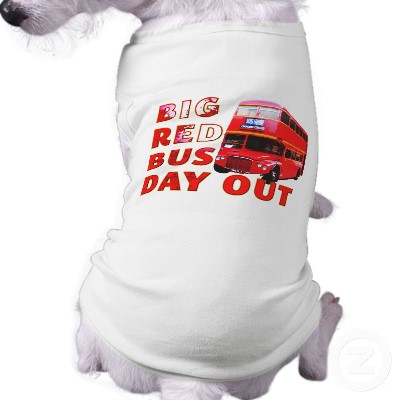 DD, Dog Shirt
