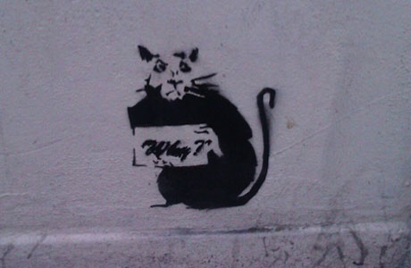Rat, FINAL