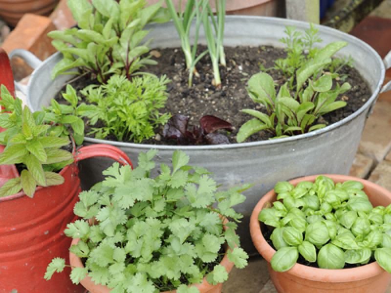 10 American Speech Habits That Grate on British Ears Anglophenia