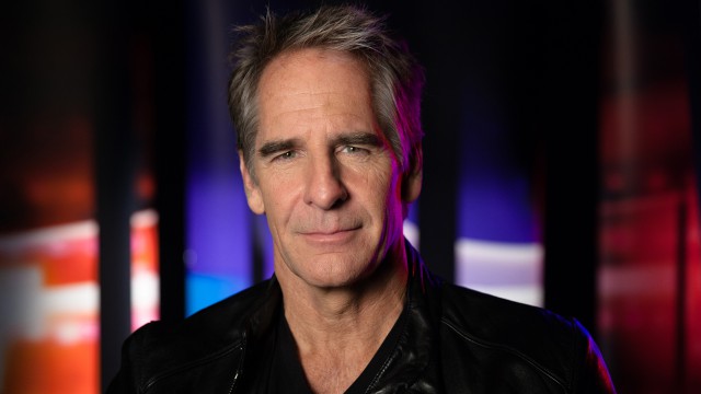 Scott Bakula (actor, Quantum Leap)