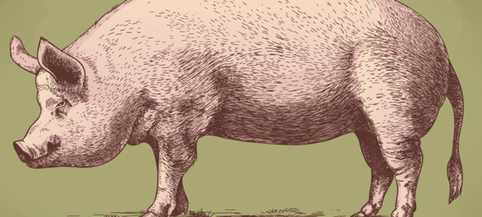 10 American Slang Terms and Phrases That Confuse Brits Anglophenia