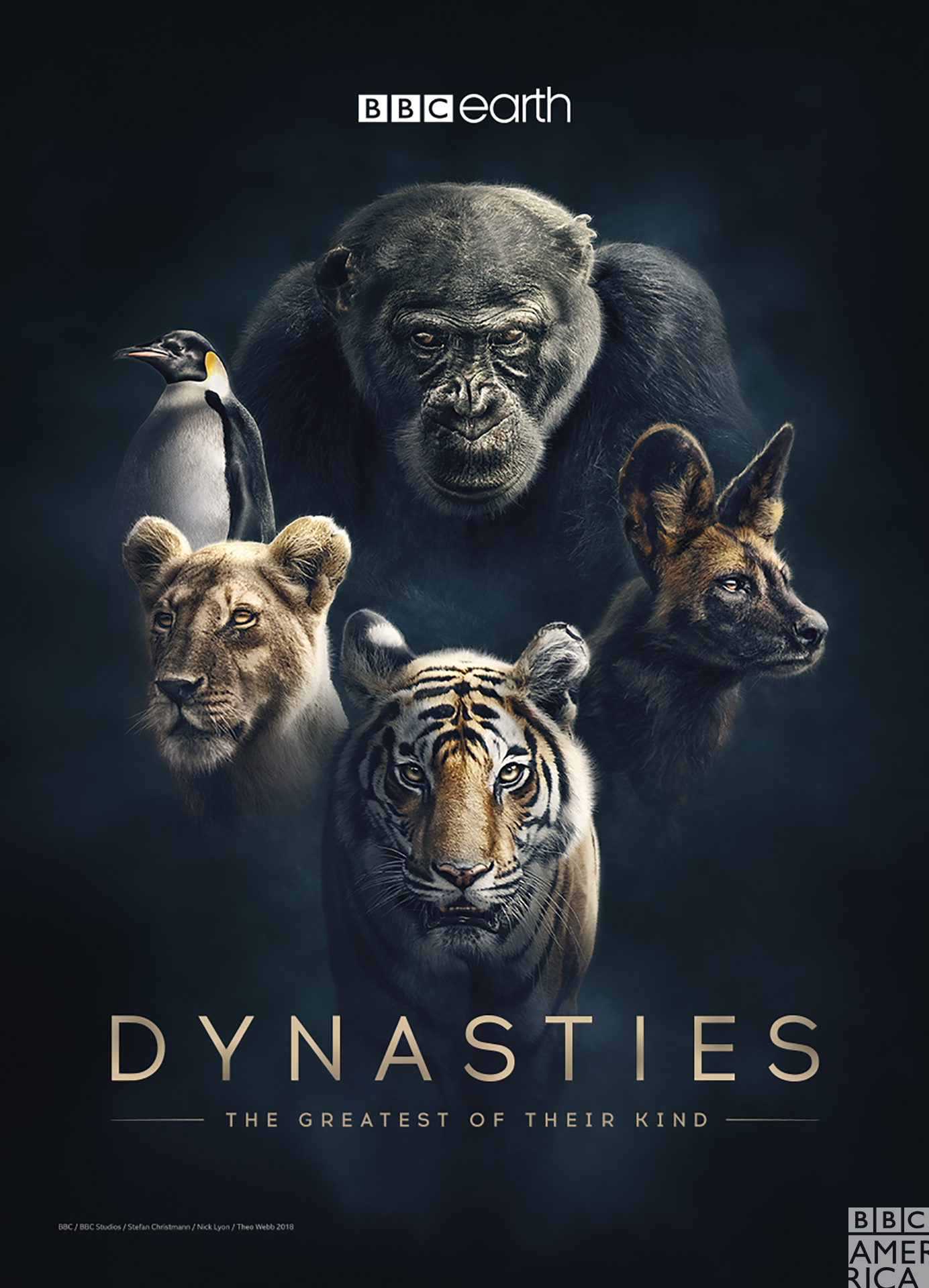 Dynasties S01E01 Chimpanzee 1080p AMZN WEBRip DDP5 1 x264 NTb