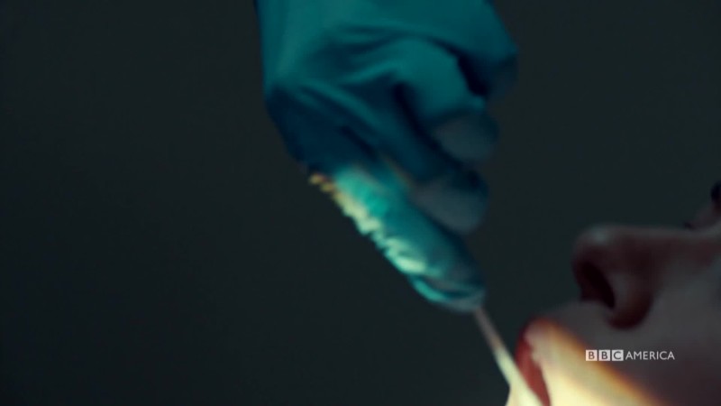 download Orphan Black torrents free - best torrent free