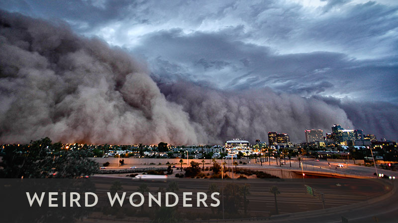 weirdwonders_800x450