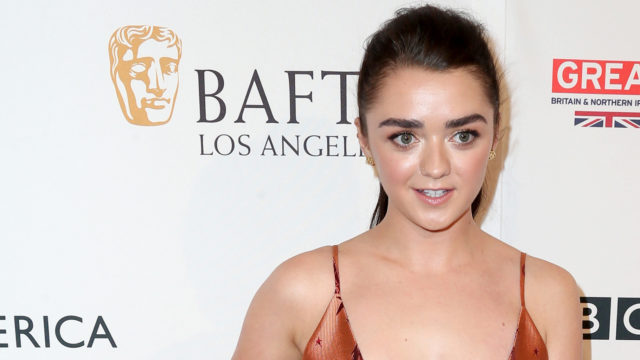 BBC America BAFTA Los Angeles TV Tea Party 2016 – Arrivals