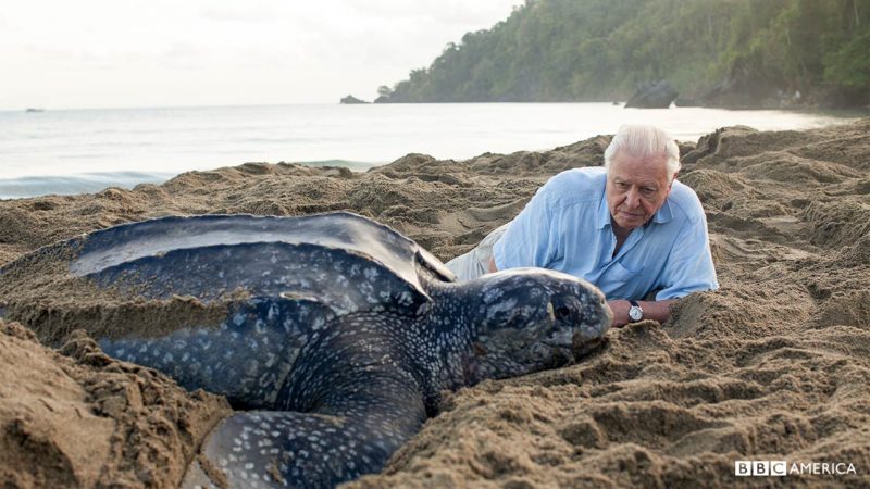 BPII_EP07_Our-Blue-Planet_08