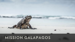 BBCA_MissionGalapagos_320x180