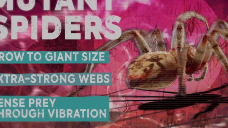 Doctor_Who_S11_Case_File_E04_Mutant_Spiders_youtube_1920x1080_1365397059807