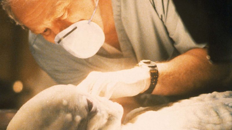 BBCA_Xfiles_424_1920x1080