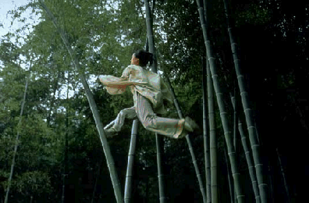 Crouching Tiger, Hidden Dragon