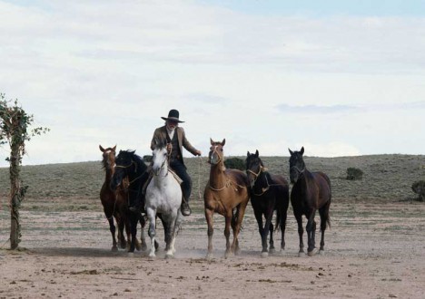 Lonesome Dove Photos 5 - Lonesome Dove