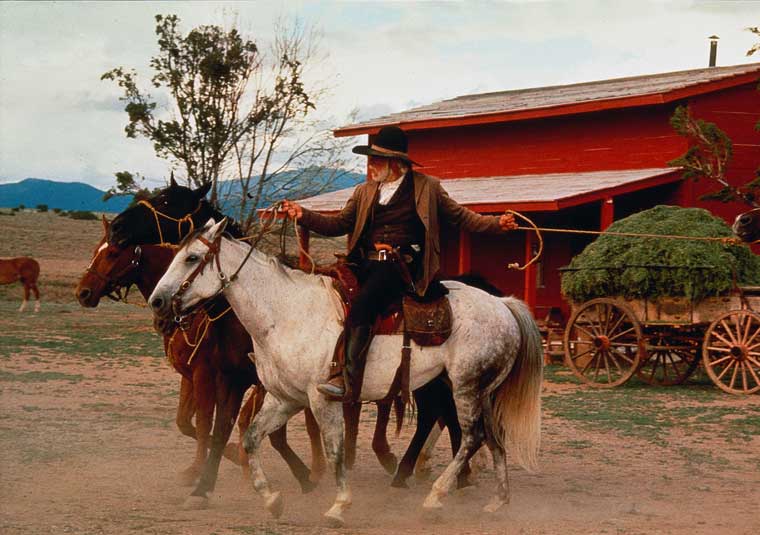 Lonesome Dove Photos 6 - Lonesome Dove