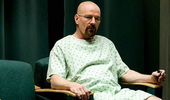 <em>Breaking Bad</em> Season 4 Episode 8, “Hermanos” – Online Extras