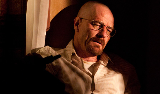 <em>Breaking Bad</em> Season 4 Episode 12, “End Times” – Online Extras