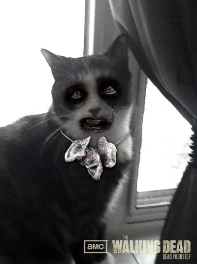 Zombified Pets in AMC's Dead Yourself App 5 - Zombified Pets in AMC's Dead Yourself App