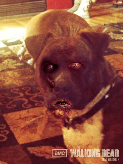 Zombified Pets in AMC's Dead Yourself App 7 - Zombified Pets in AMC's Dead Yourself App