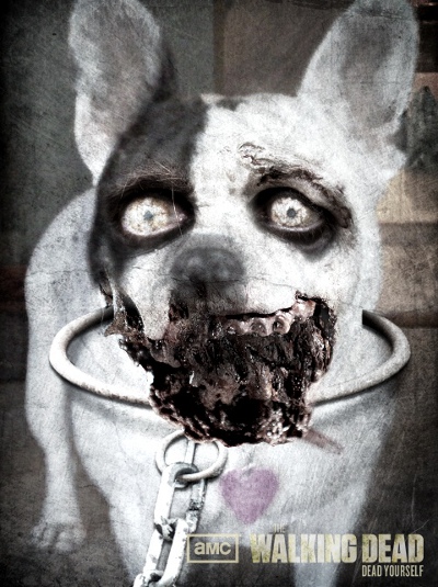 Zombified Pets in AMC's Dead Yourself App 2 - Zombified Pets in AMC's Dead Yourself App