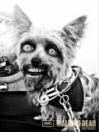 Zombified Pets in AMC's Dead Yourself App 9 - Zombified Pets in AMC's Dead Yourself App