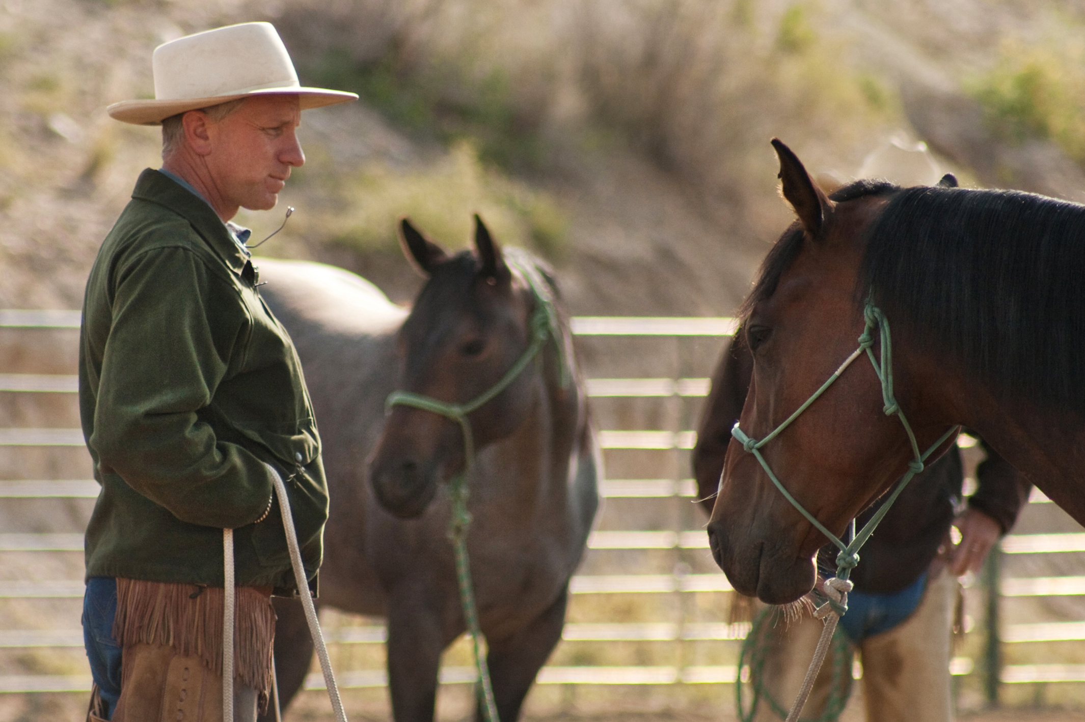 Buck-film-still-2-photo-by-Emily-Knight