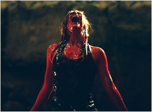 Descent, The (photo)