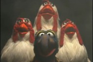 It’s Time to Meet the Muppets, Again