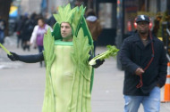 Watch Celery Stalk New York City, Looking for Acceptance