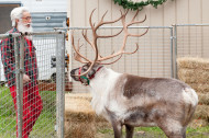portlandia-claus