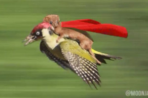 Today in Memes: Brace Yourself for the #WeaselPecker