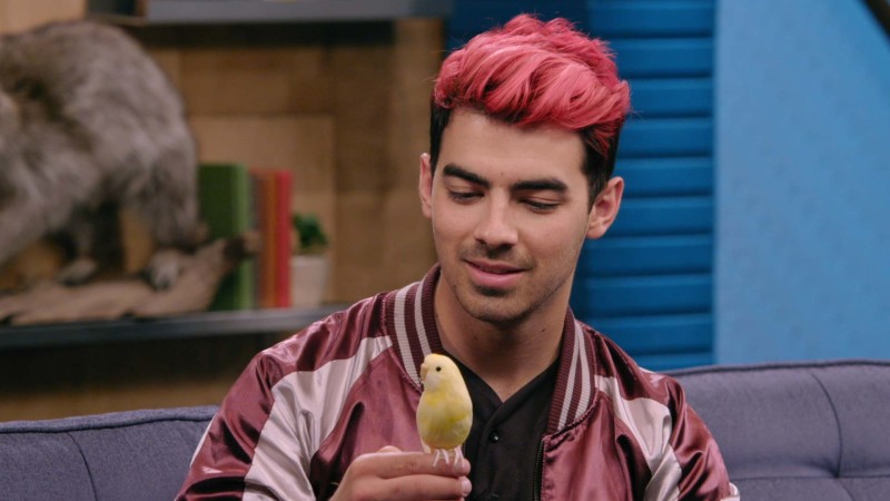 CBB_507A-iBird_MPX-1920×1080