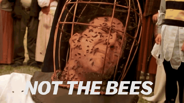 Image result for the bees nicolas cage