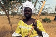 acacia_project The Acacia Project: Agroforestry as a weapon again desertification, poverty
